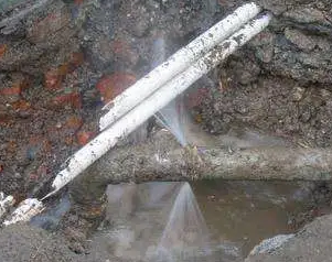 普定水管维修费用是多少